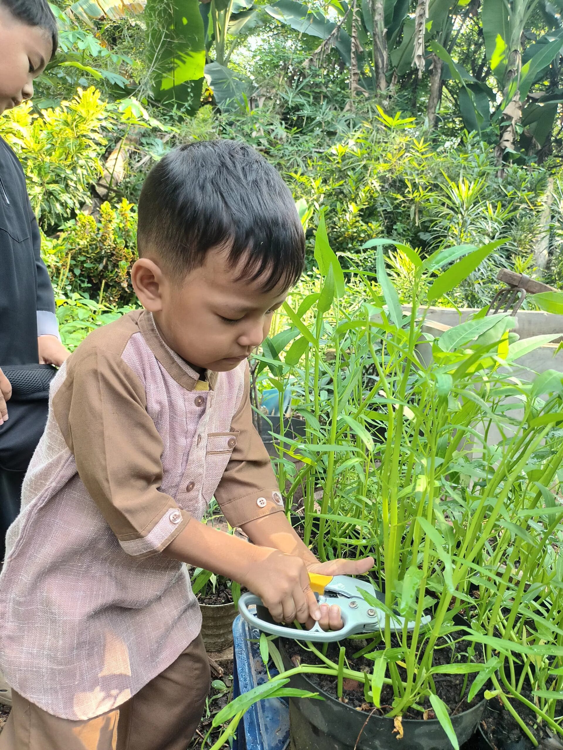 Rumbel Himmatul Ummah
